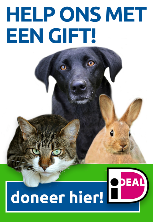 help-ons-met-een-gift-dierenasiel-almere-doneer-hier